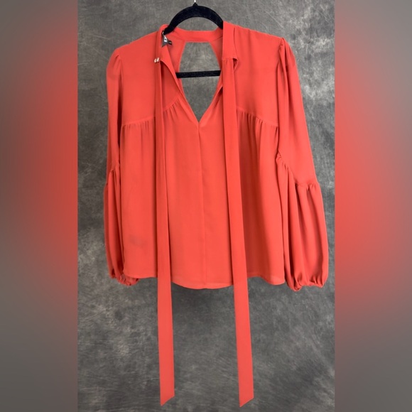 Express Sheer Tie-Neck Blouse Rust Orange | Long Sleeve | Size XS - Picture 3 of 7